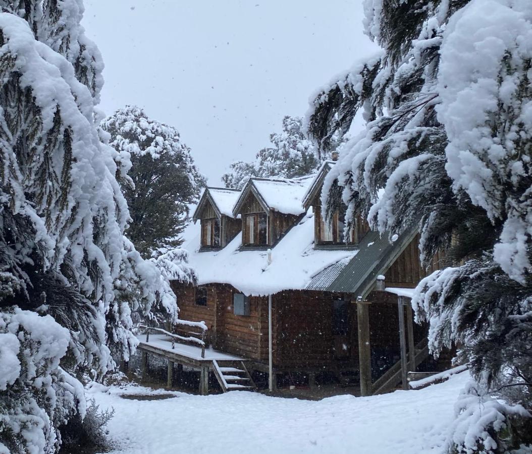 Charlies Cabin - Mt Lyford Bagian luar foto